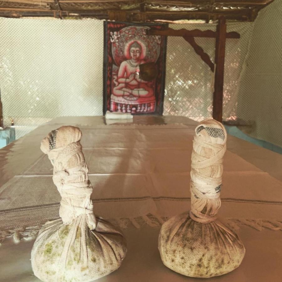 Green Garden Ayurvedic Resort Varkala Buitenkant foto