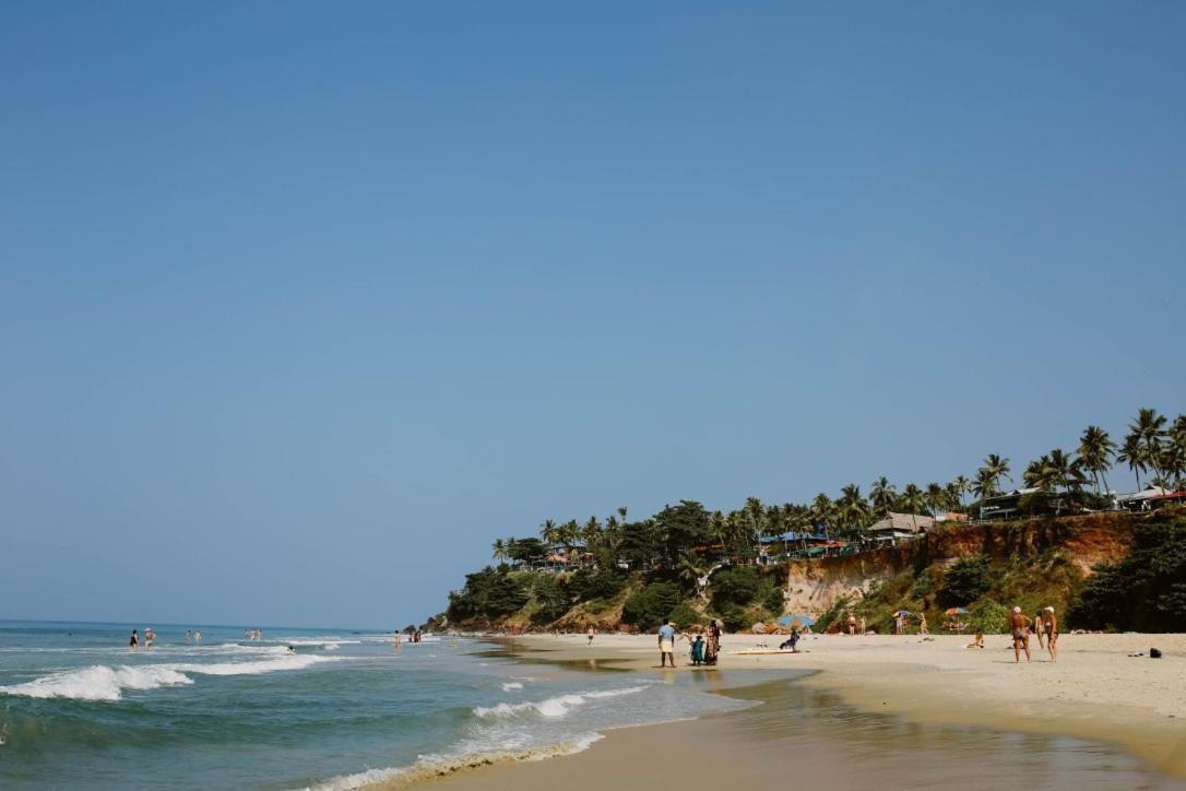 Green Garden Ayurvedic Resort Varkala Buitenkant foto