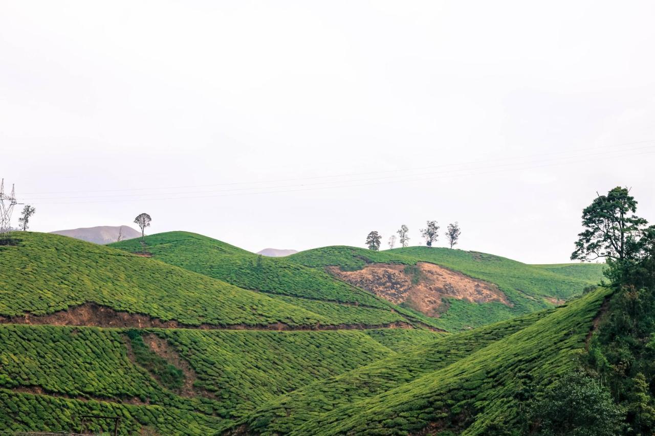 Green Garden Ayurvedic Resort Varkala Buitenkant foto