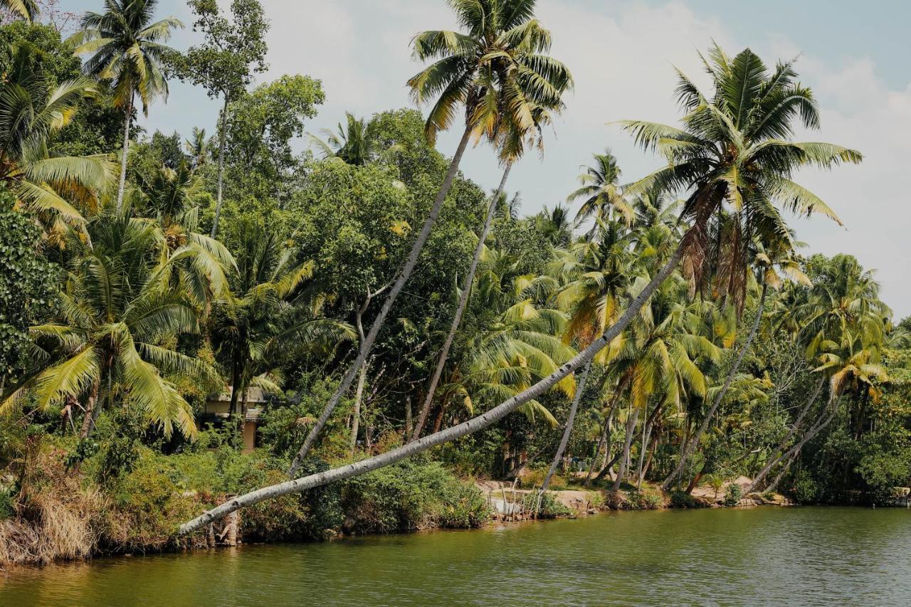 Green Garden Ayurvedic Resort Varkala Buitenkant foto