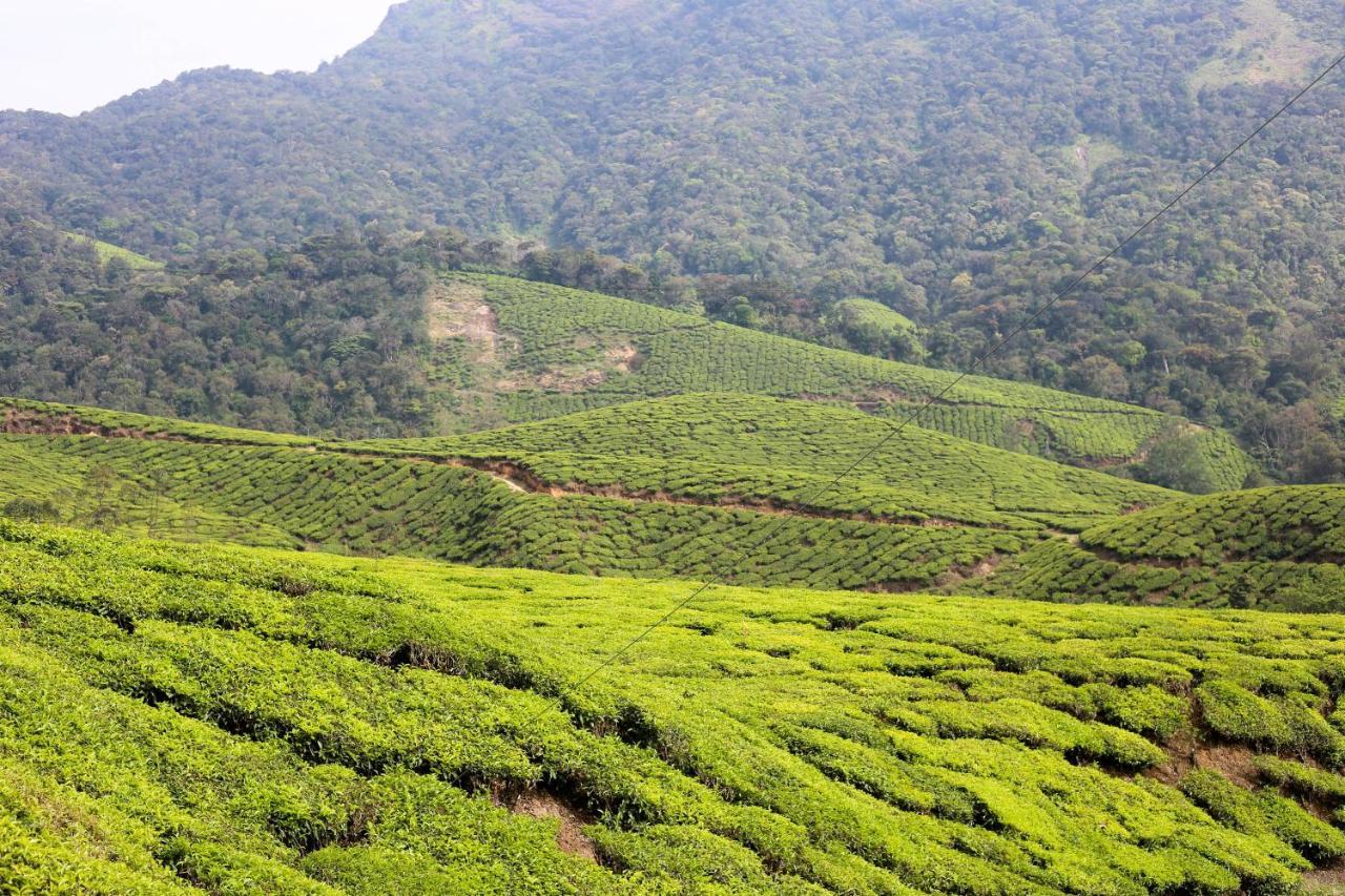 Green Garden Ayurvedic Resort Varkala Buitenkant foto