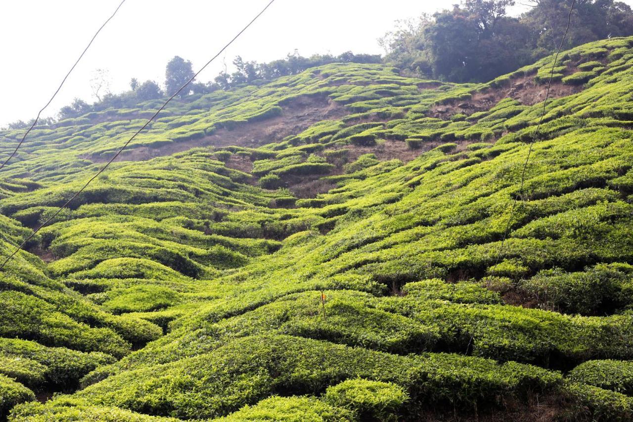 Green Garden Ayurvedic Resort Varkala Buitenkant foto